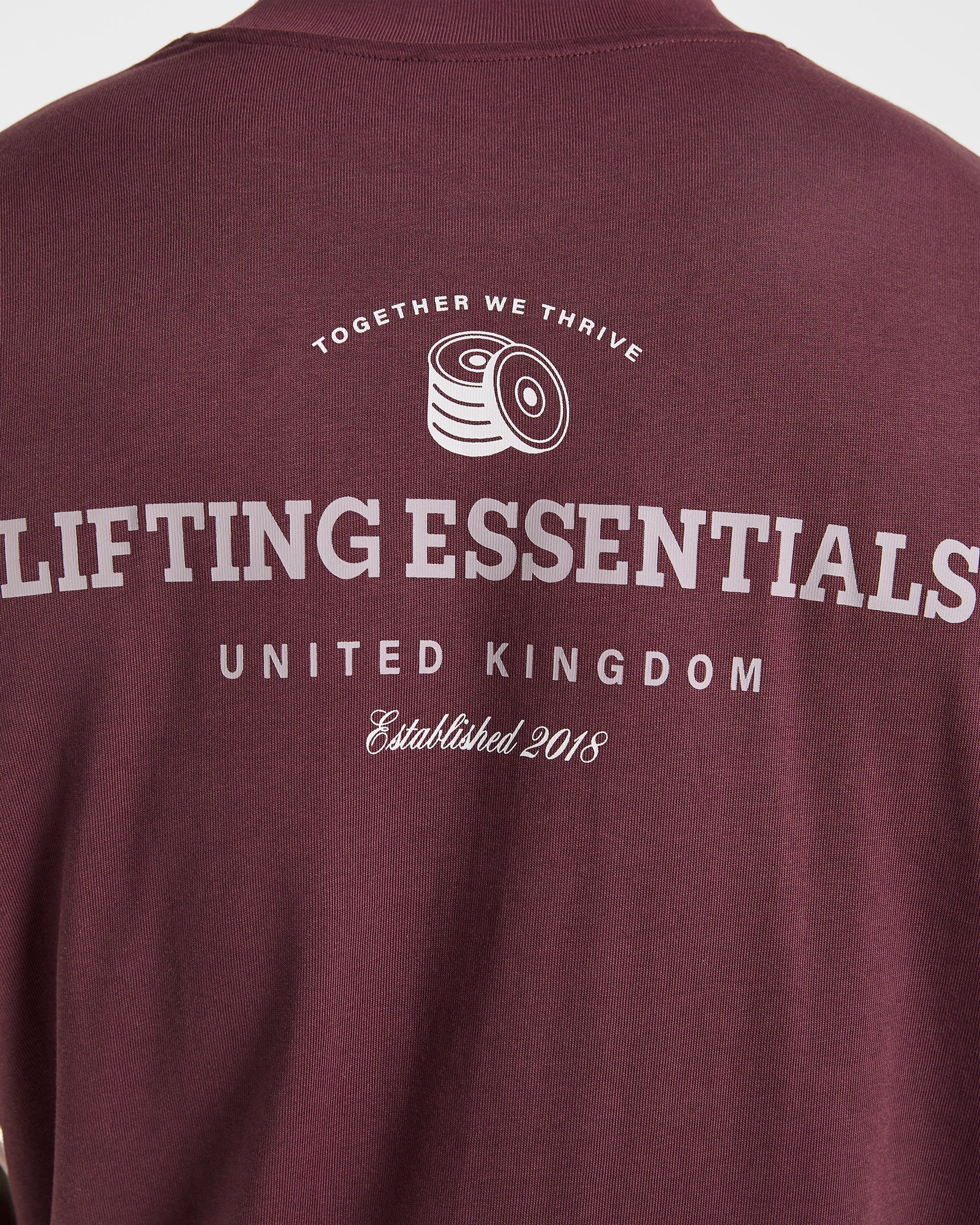 Apex Lifting Essentials Oversized T Shirt - Plum - Image 6