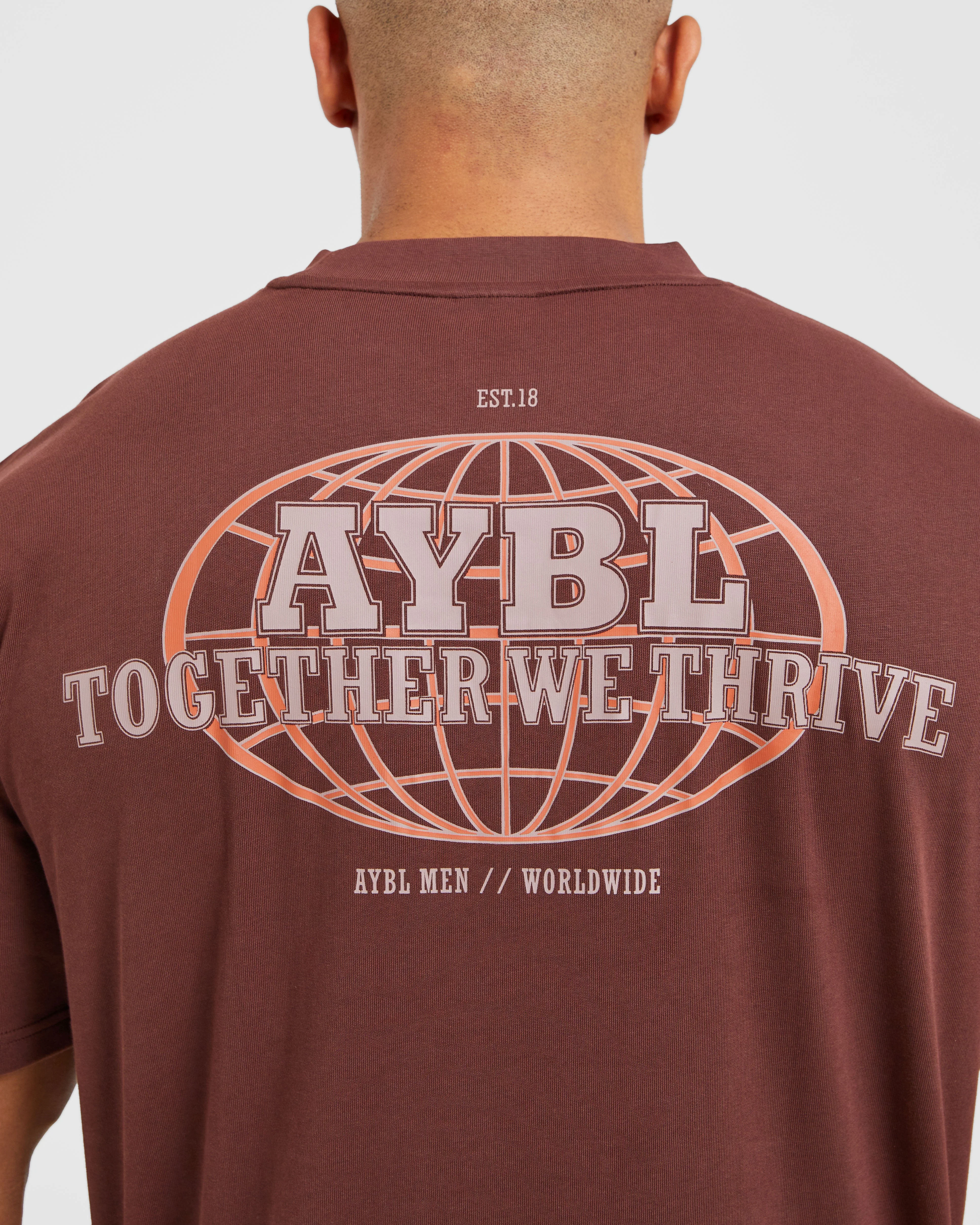 Global Oversized T Shirt - Burnt Rouge - Image 5