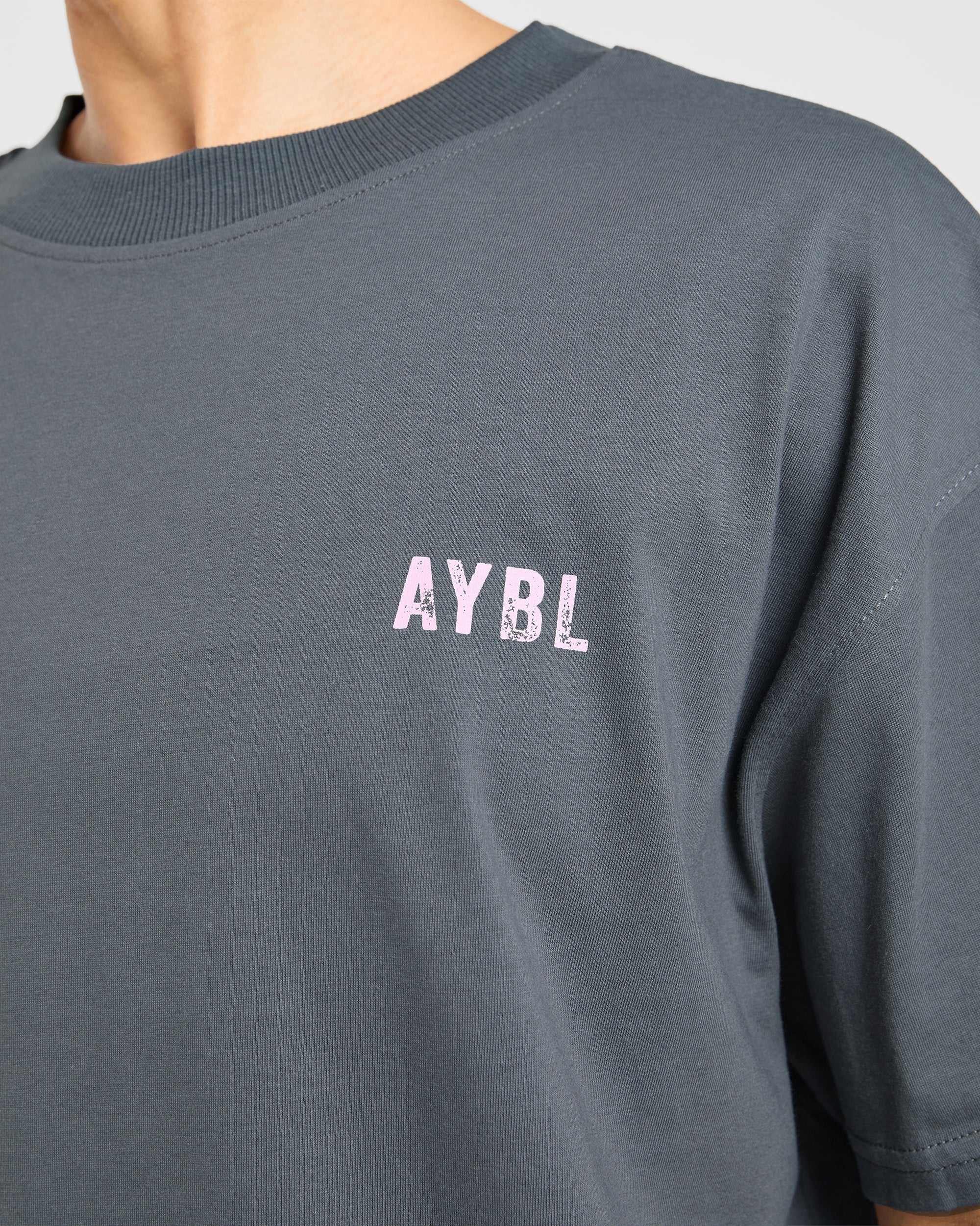 Sculpting Season Oversized T Shirt - Gris/Rose - Image 5