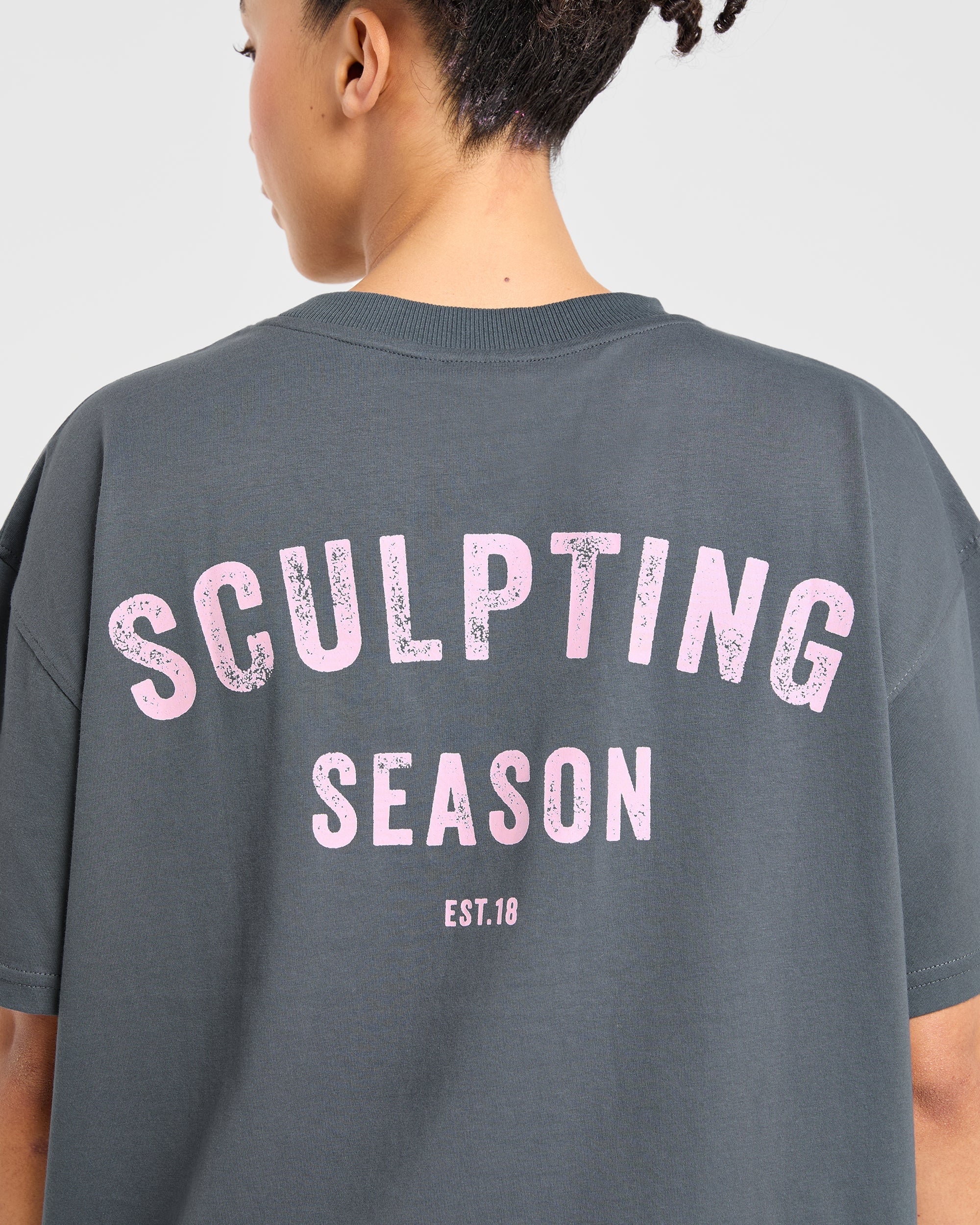 Sculpting Season Oversized T Shirt - Gris/Rose - Image 6