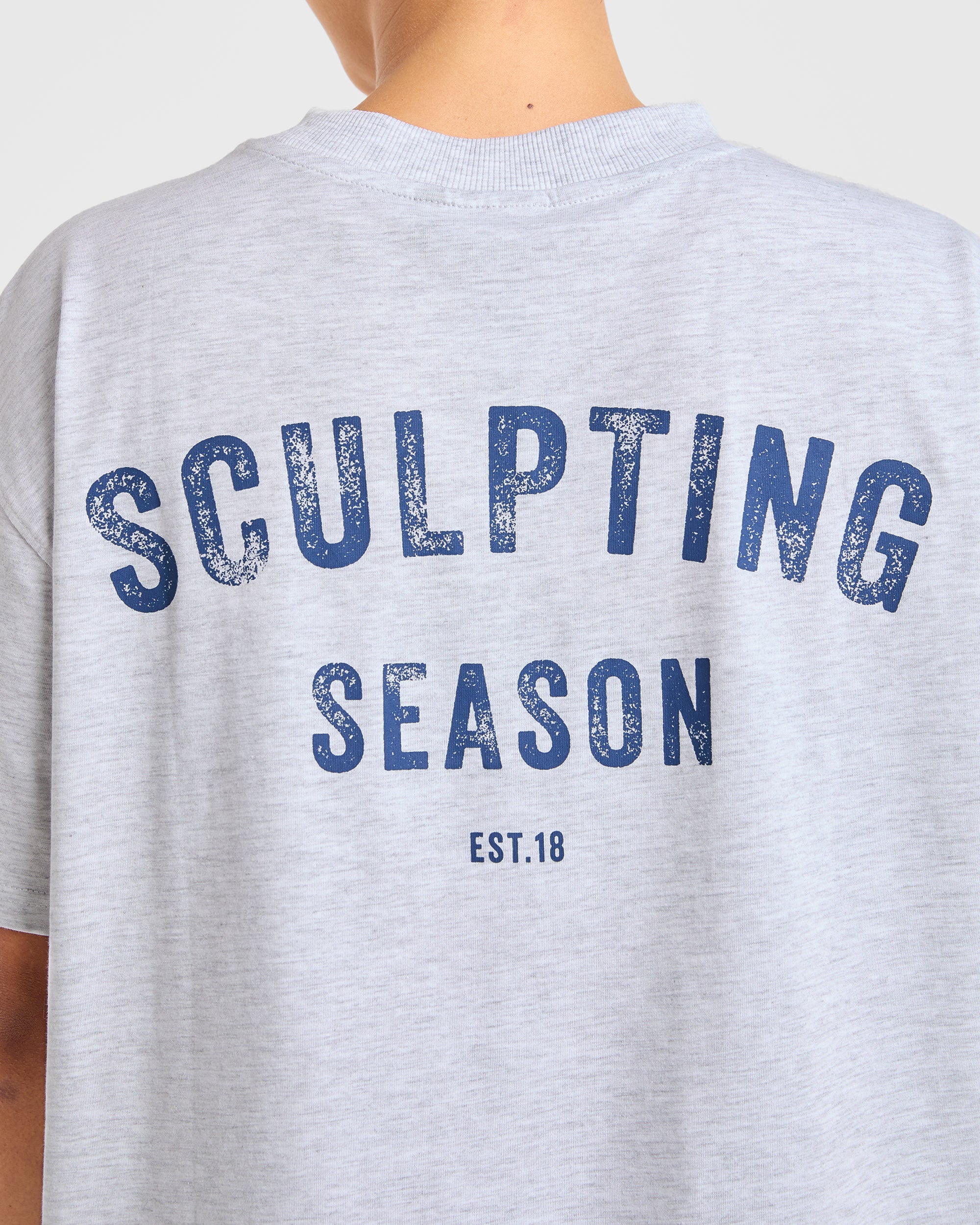 Sculpting Season Oversized T Shirt - Heather Gris/Navy - Image 6